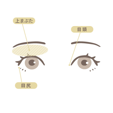 二重整形の施術部位。上まぶた・目頭・目尻を示す目元のイラスト