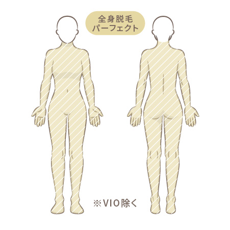 医療脱毛の施術部位。全身脱毛パーフェクト（VIO除く）の範囲を示す全身のイラスト